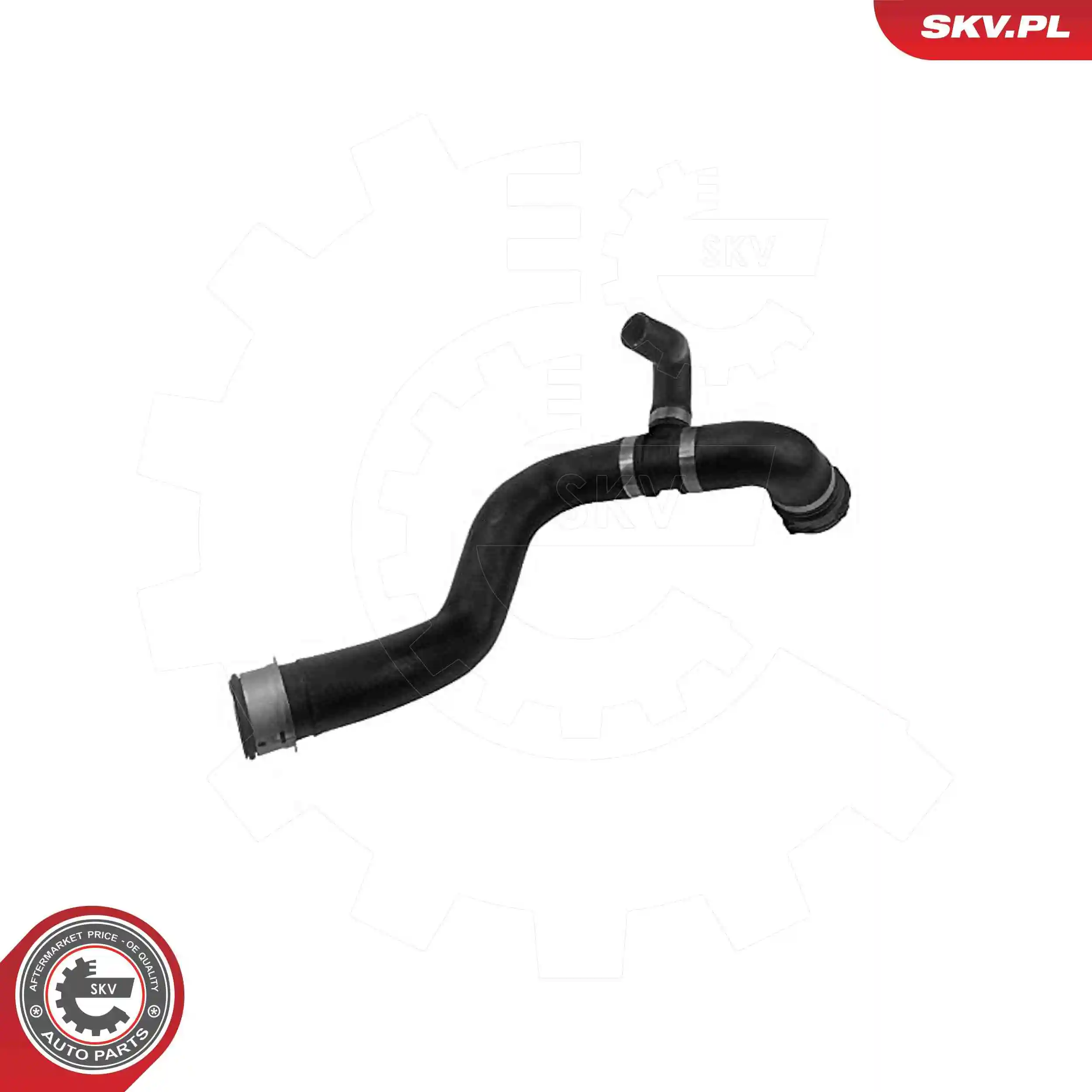 Radiator Hose